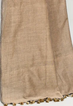 Handloom Cotton Saree in Beige