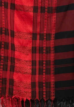 Handloom Cotton Saree in Black