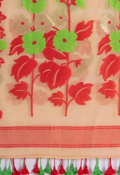 Handloom Cotton Saree in Beige