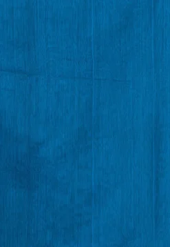 Handloom Cotton Saree in Blue