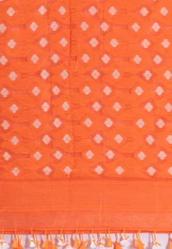 Handloom Cotton Saree in White