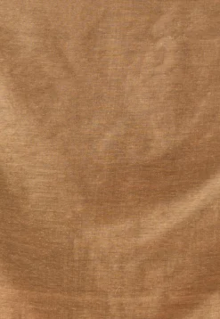 Handloom Cotton Saree in Beige