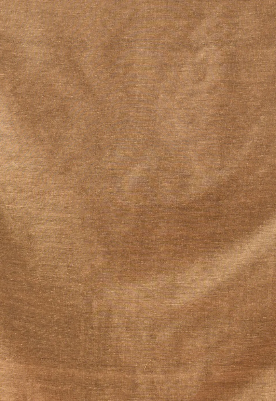 Handloom Cotton Saree in Beige