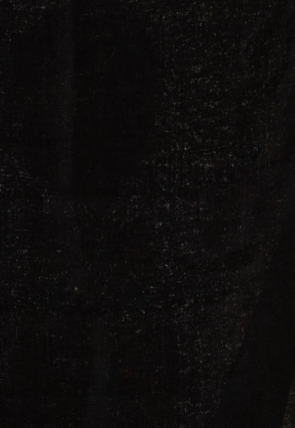 Handloom Pure Linen Saree in Black