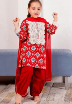 Ikat Printed Cotton Punjabi Suit in Red