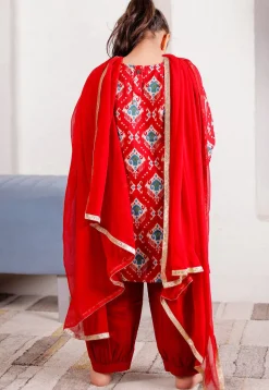 Ikat Printed Cotton Punjabi Suit in Red