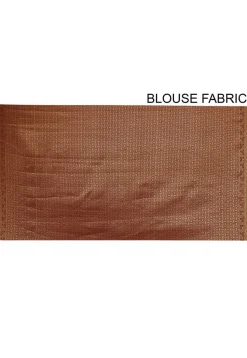 Kanchipuram Saree in Light Beige