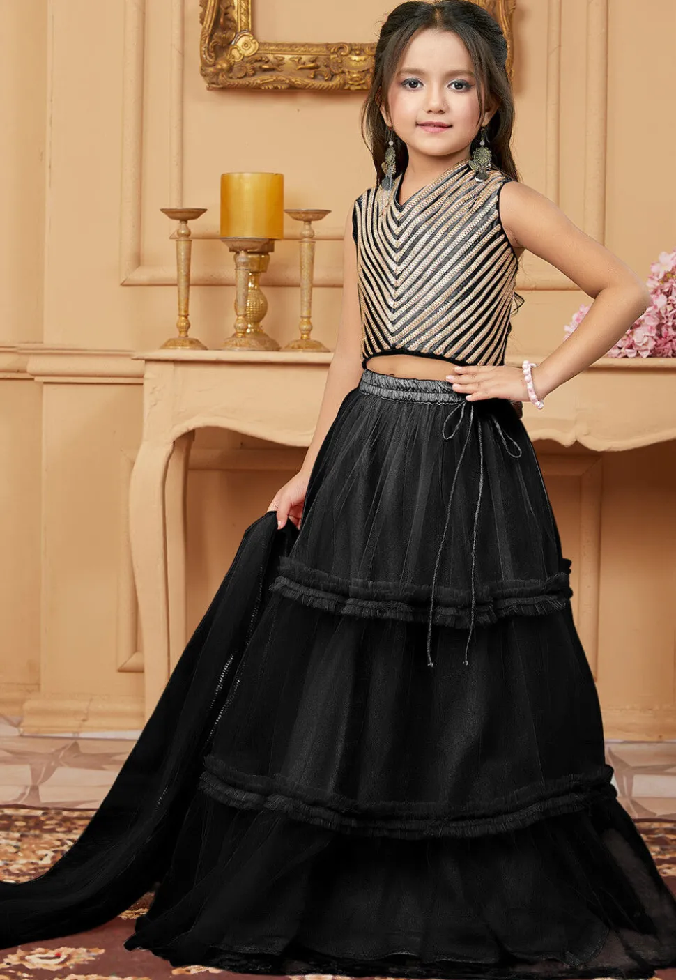 Lace Border Net Lehenga in Black