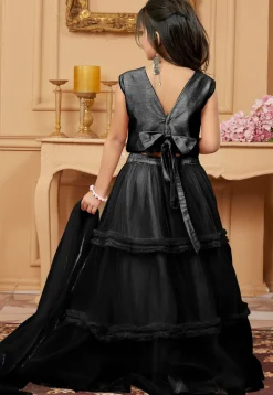 Lace Border Net Lehenga in Black