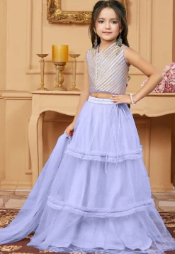 Lace Border Net Lehenga in Light Purple