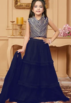 Lace Border Net Lehenga in Navy Blue