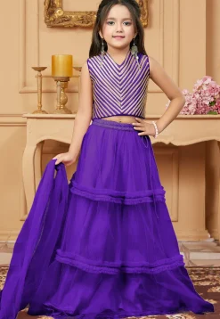 Lace Border Net Lehenga in Dark Purple