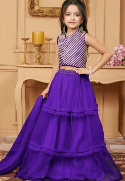 Lace Border Net Lehenga in Dark Purple
