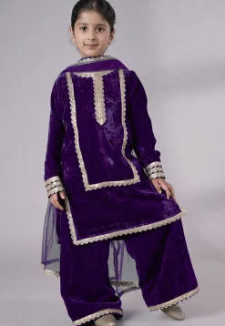 Lace Border Velvet Pakistani Suit in Purple