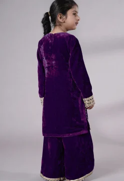 Lace Border Velvet Pakistani Suit in Purple