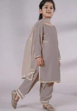 Lace Border Velvet Punjabi Suit in Grey