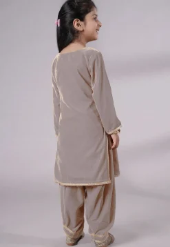Lace Border Velvet Punjabi Suit in Grey