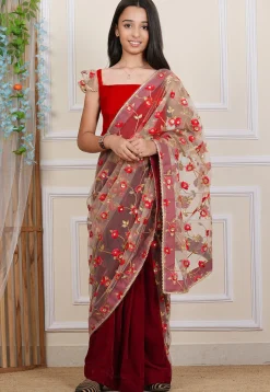 Pre-stitched Net Saree in Beige and Maroon