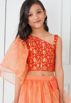 Pre-Stitched Organza Saree in Peach