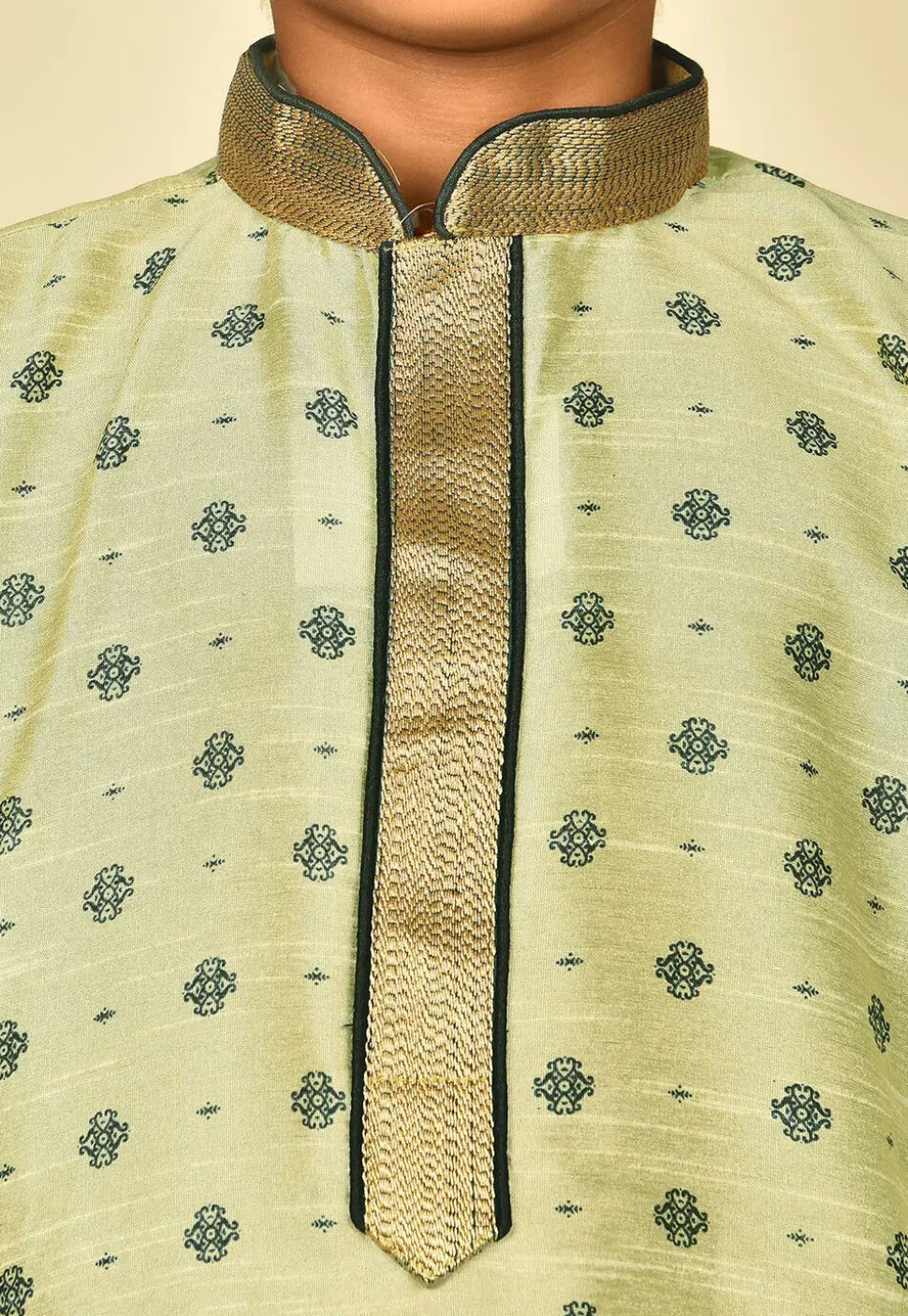 Printed Dupion Silk Kurta Set in Pastel Green