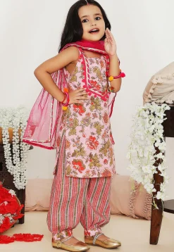 Printed Pure Cotton Punjabi Suit in Light Pink