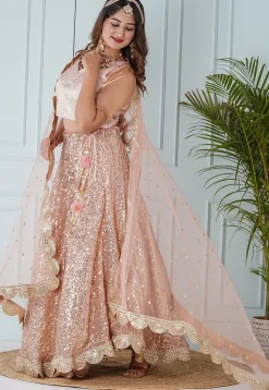 Sequinned Georgette Lehenga in Peach