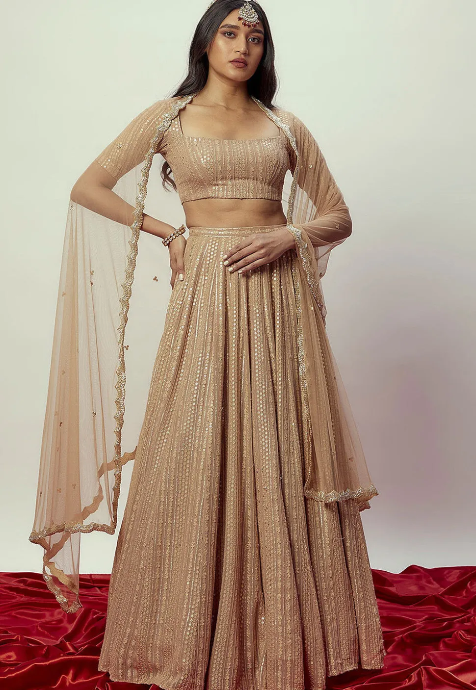 Sequinned Georgette Lehenga in Beige