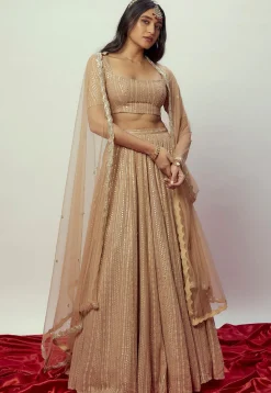 Sequinned Georgette Lehenga in Beige