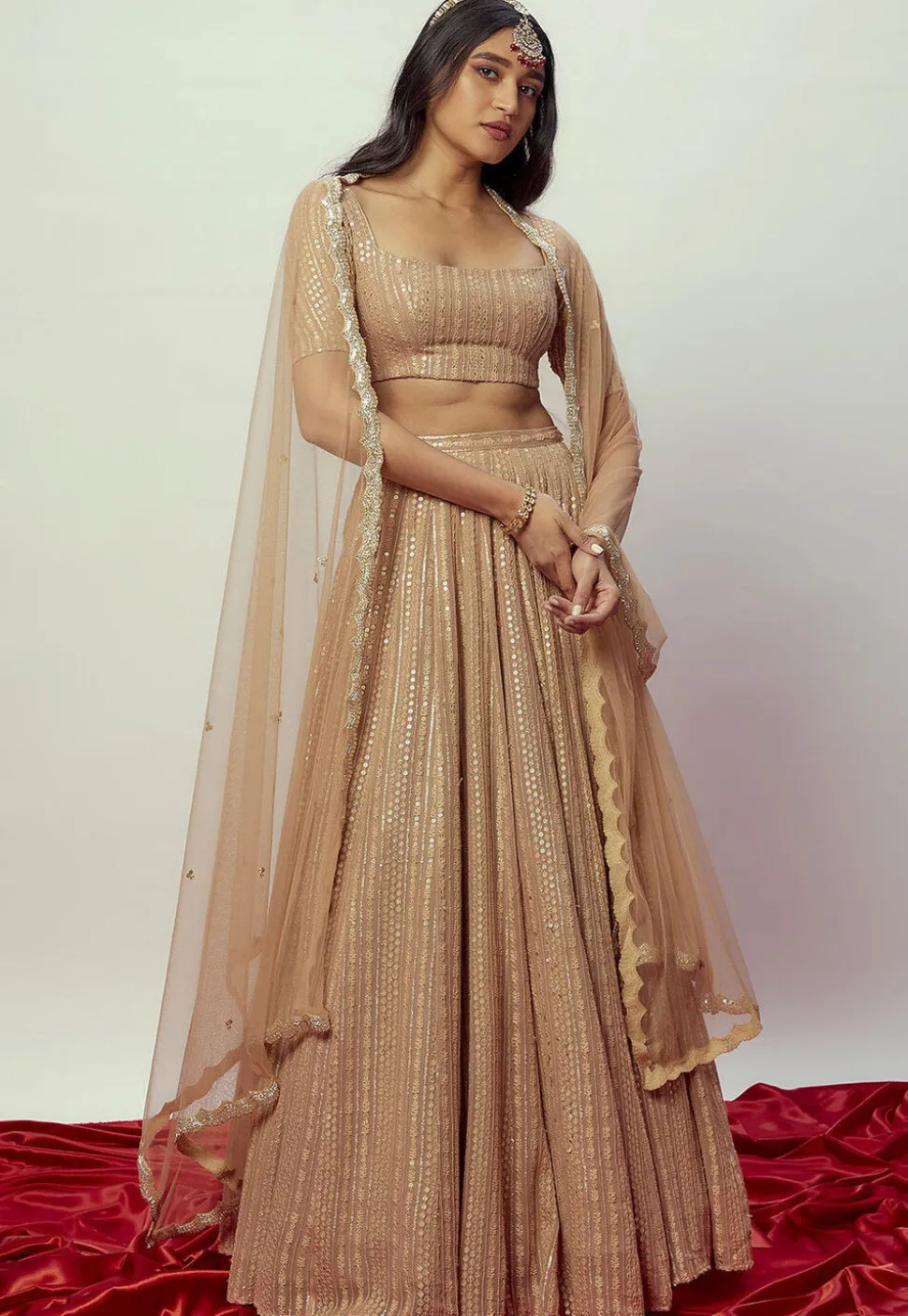 Sequinned Georgette Lehenga in Beige