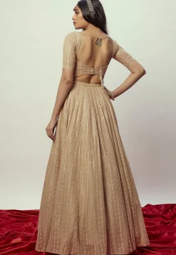 Sequinned Georgette Lehenga in Beige