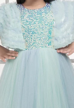 Sequinned Net Gown in Blue
