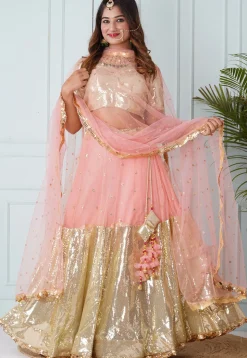 Sequinned Net Lehenga in Peach and Beige