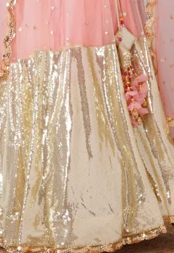 Sequinned Net Lehenga in Peach and Beige