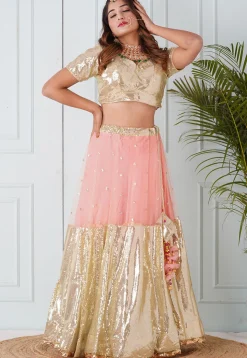 Sequinned Net Lehenga in Peach and Beige