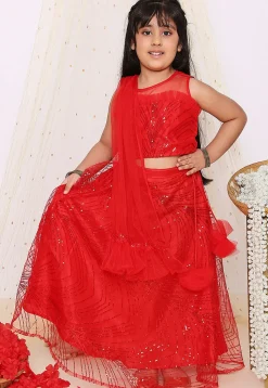 Sequinned Net Lehenga in Red