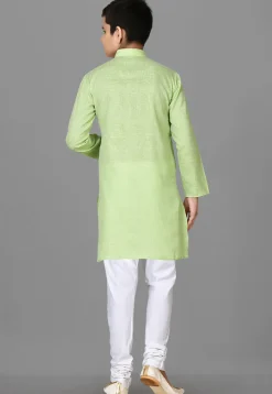 Solid Color Cotton Kurta Set in Light Green