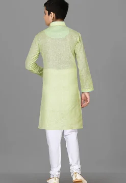 Solid Color Cotton Kurta in Light Green