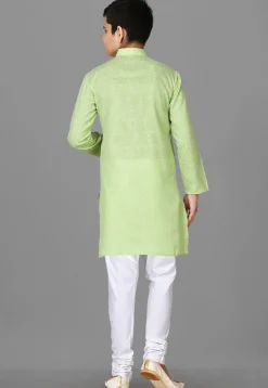 Solid Color Cotton Kurta in Light Green