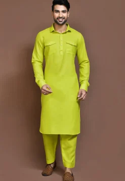 Solid Color Cotton Slub Paithani Suit in Light Green