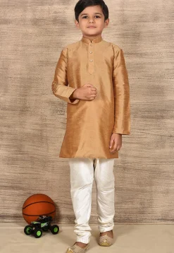 Solid Color Dupion Silk Kurta Set in Beige