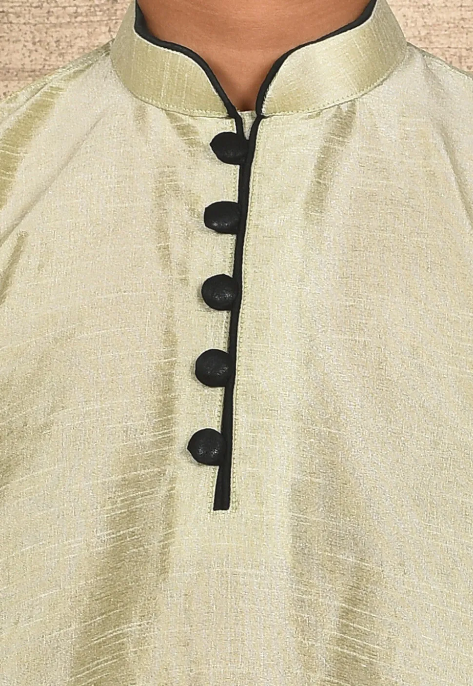 Solid Color Dupion Silk Kurta in Pastel Green