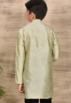 Solid Color Dupion Silk Kurta in Pastel Green
