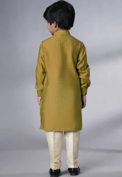 Solid Color Muslin Silk Kurta Set in Green