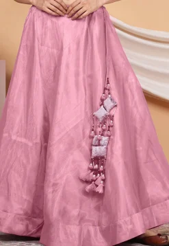 Solid Color Organza Skirt in Light Pink