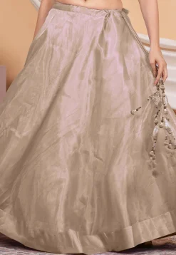 Solid Color Organza Skirt in Beige