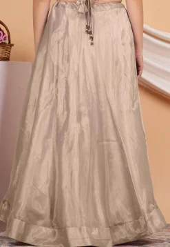 Solid Color Organza Skirt in Beige