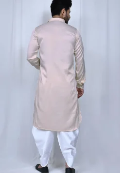 Solid Color Satin Paithani Suit in Light Beige