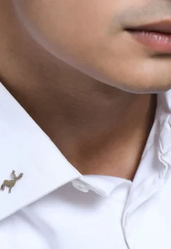The Daring Deer and Flying Bird Metallic  Collar Tips Gift Set