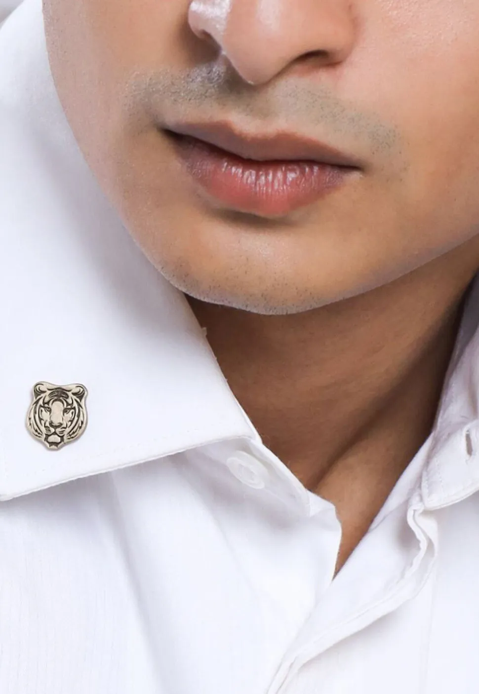 The Fiery Tiger and Lions Mane Metallic Collar Tips Gift Set