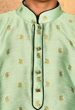 Woven Art Silk Jacquard Kurta in Pastel Green